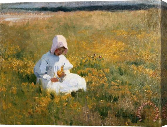 Marianne Stokes In a Field of Buttercups Stretched Canvas Print / Canvas Art Marianne Stokes In a Field of Buttercups Stretched Canvas Print / Canvas Art