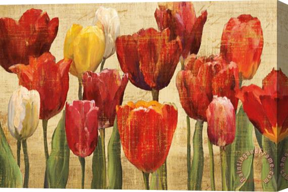 Marilyn Hageman Tulip Fantasy on Cream Stretched Canvas Painting / Canvas Art
