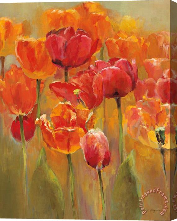 Marilyn Hageman Tulips in The Midst I Stretched Canvas Painting / Canvas Art