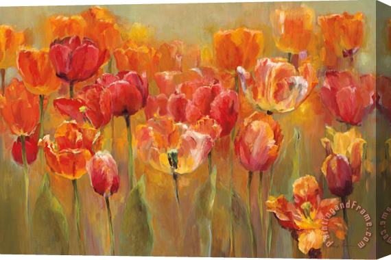 Marilyn Hageman Tulips in The Midst III Stretched Canvas Print / Canvas Art