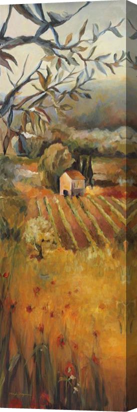 Marilyn Hageman Vineyard in The Valley I Stretched Canvas Print / Canvas Art