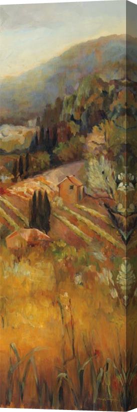 Marilyn Hageman Vineyard in The Valley II Stretched Canvas Painting / Canvas Art