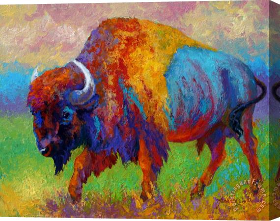 Marion Rose A Journey Still Unknown - Bison Stretched Canvas Painting / Canvas Art