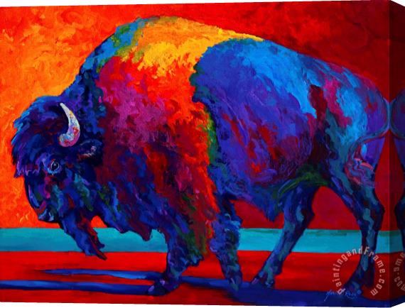 Marion Rose Abstract Bison Stretched Canvas Print / Canvas Art