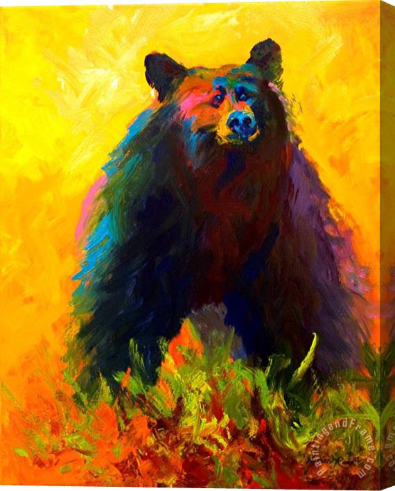 Marion Rose Alert - Black Bear Stretched Canvas Painting / Canvas Art