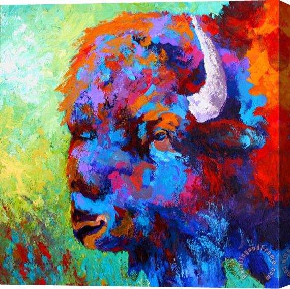 Marion Rose Bison Head II Stretched Canvas Print / Canvas Art