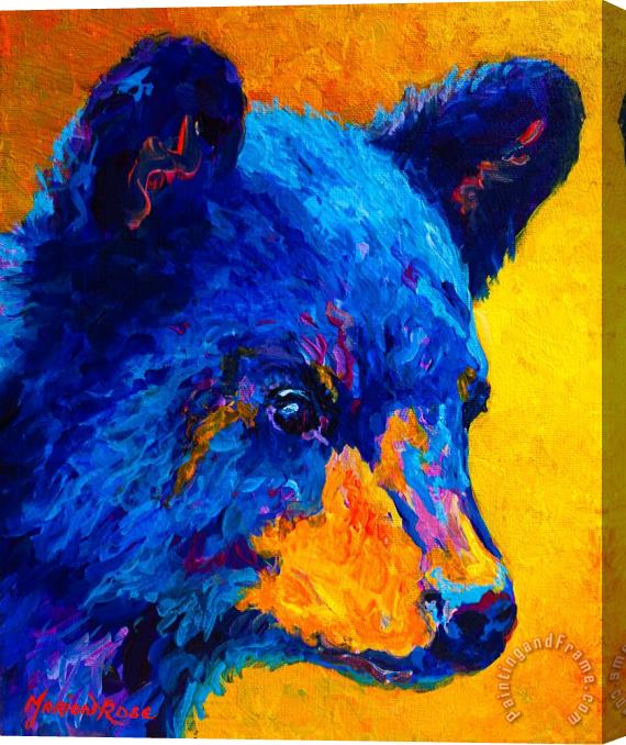 Marion Rose Black Bear Cub 2 Stretched Canvas Painting / Canvas Art