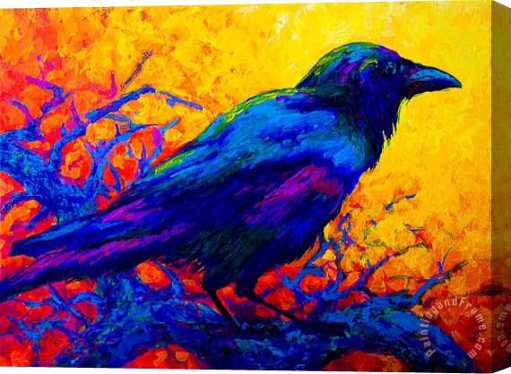 Marion Rose Black Onyx - Raven Stretched Canvas Print / Canvas Art