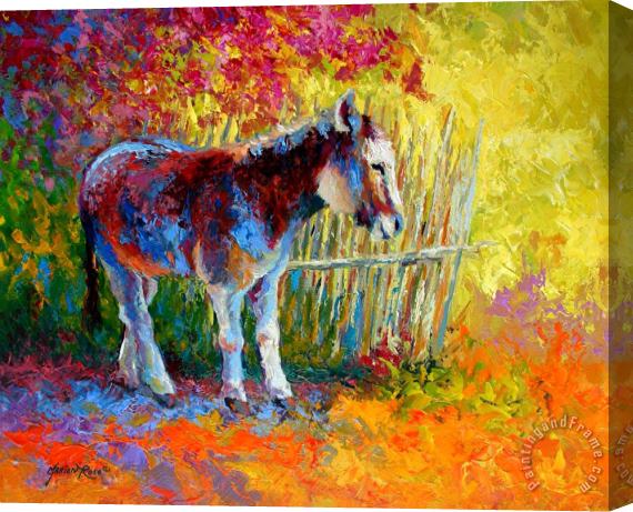 Marion Rose Burro And Bouganvillia Stretched Canvas Print / Canvas Art