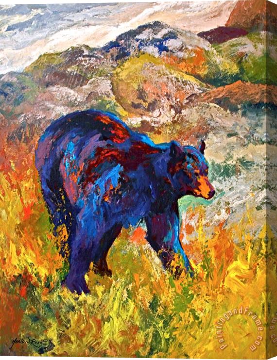 Marion Rose By The River - Black Bear Stretched Canvas Painting / Canvas Art