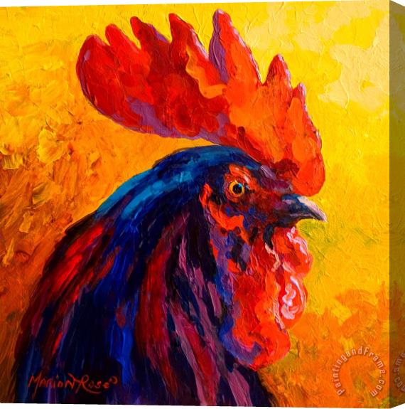Marion Rose Cocky - Rooster Stretched Canvas Painting / Canvas Art