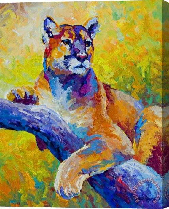 Marion Rose Cougar Portrait I Stretched Canvas Painting / Canvas Art
