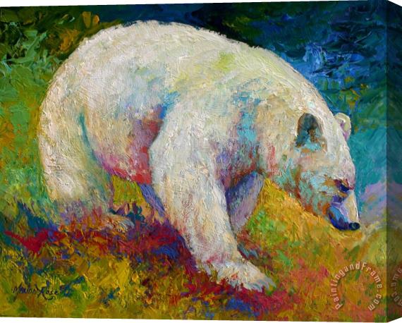 Marion Rose Creamy Vanilla - Kermode Spirit Bear Of BC Stretched Canvas Painting / Canvas Art