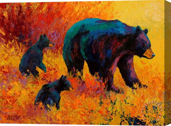 Marion Rose Double Trouble - Black Bear Family Stretched Canvas Print / Canvas Art