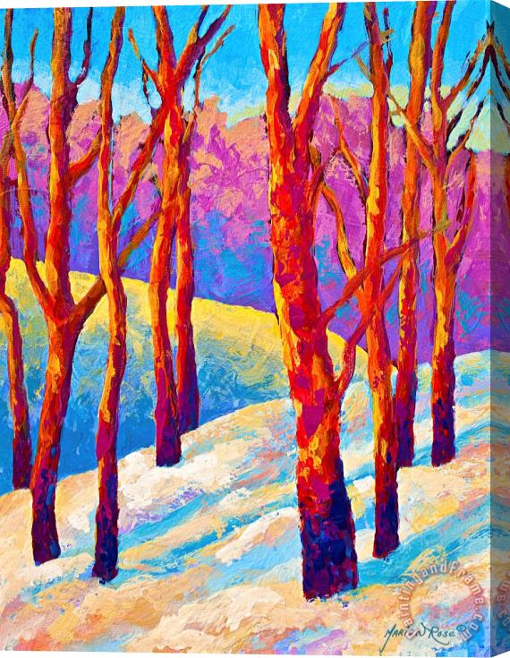 Marion Rose Dusk's Veil Stretched Canvas Painting / Canvas Art