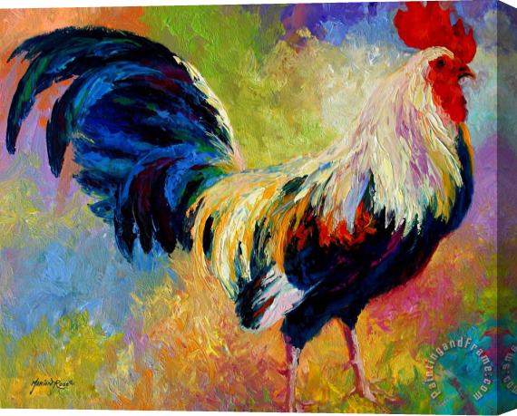 Marion Rose Eye Candy - Rooster Stretched Canvas Painting / Canvas Art