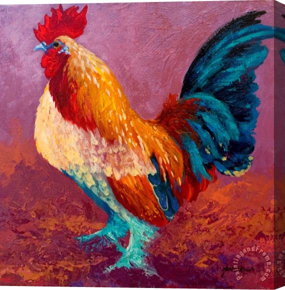 Marion Rose Fancy Pants - Rooster Stretched Canvas Print / Canvas Art