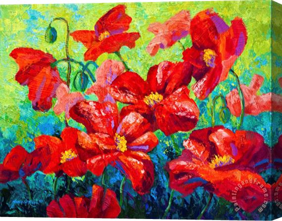 Marion Rose Field Of Red Poppies II Stretched Canvas Print / Canvas Art