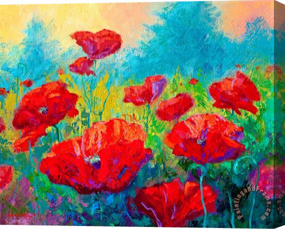 Marion Rose Field Of Red Poppies Stretched Canvas Painting / Canvas Art