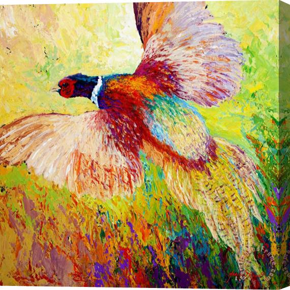 Marion Rose Flushed - Pheasant Stretched Canvas Painting / Canvas Art