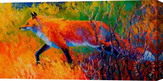 Marion Rose Foxy - Red Fox Stretched Canvas Painting / Canvas Art