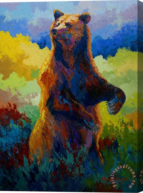 Marion Rose I Spy - Grizzly Bear Stretched Canvas Painting / Canvas Art