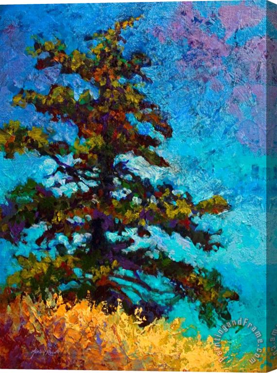 Marion Rose Lone Pine II Stretched Canvas Painting / Canvas Art