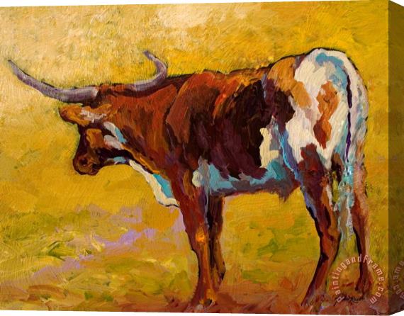 Marion Rose Longhorn Study Stretched Canvas Painting / Canvas Art