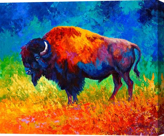 Marion Rose Master Of His World Stretched Canvas Painting / Canvas Art