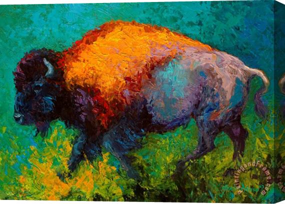 Marion Rose On The Run - Bison Stretched Canvas Painting / Canvas Art