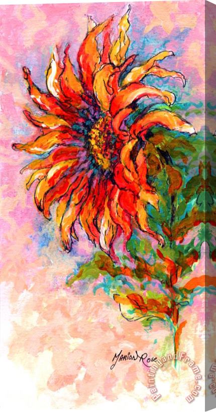 Marion Rose One Sunflower Stretched Canvas Painting / Canvas Art