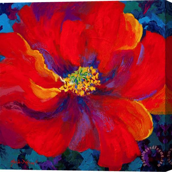Marion Rose Passion - Red Poppy Stretched Canvas Print / Canvas Art