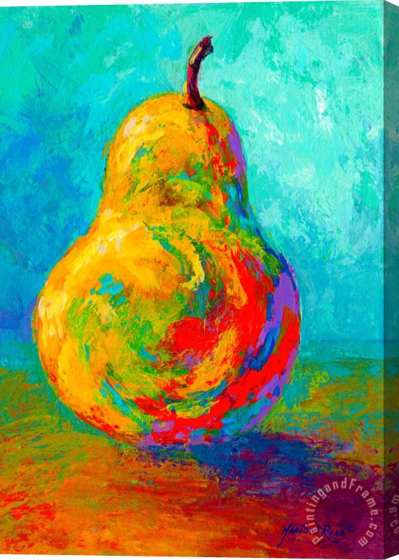 Marion Rose Pear I Stretched Canvas Painting / Canvas Art