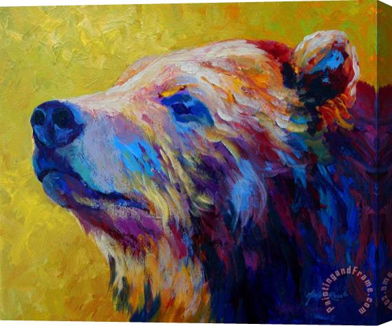 Marion Rose Pretty Boy - Grizzly Bear Stretched Canvas Painting / Canvas Art