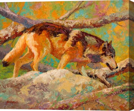 Marion Rose Prowler - Grey Wolf Stretched Canvas Painting / Canvas Art