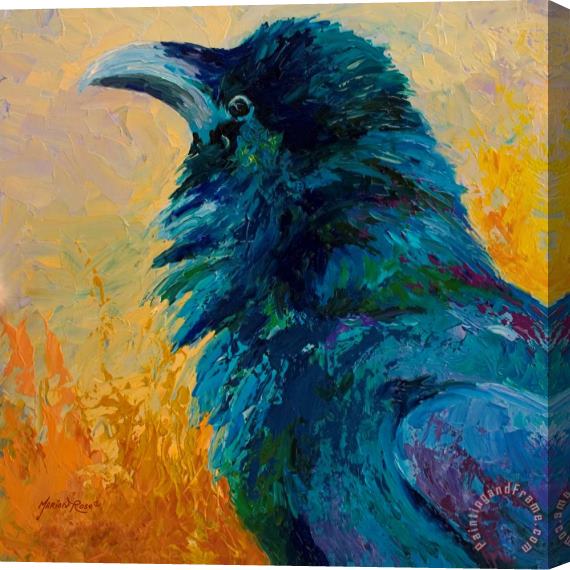 Marion Rose Raven Study Stretched Canvas Painting / Canvas Art