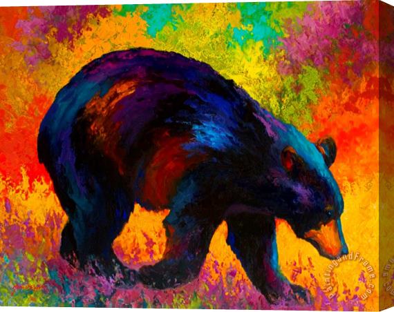 Marion Rose Roaming - Black Bear Stretched Canvas Print / Canvas Art