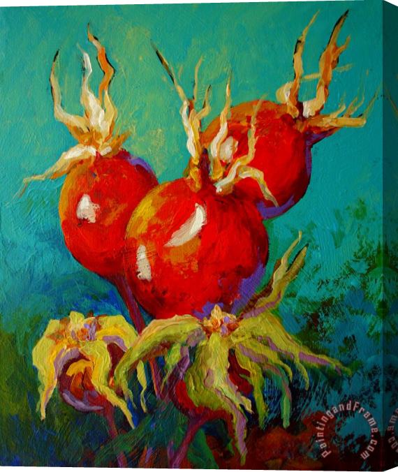 Marion Rose Rose Hips Stretched Canvas Painting / Canvas Art