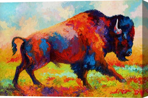 Marion Rose Running Free - Bison Stretched Canvas Print / Canvas Art