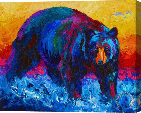 Marion Rose Scouting For Fish - Black Bear Stretched Canvas Painting / Canvas Art