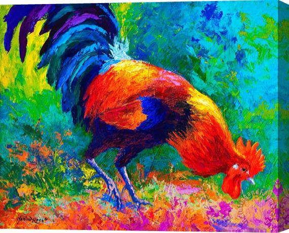 Marion Rose Scratchin - Rooster Stretched Canvas Painting / Canvas Art