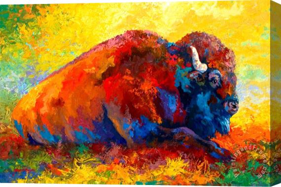 Marion Rose Spirit Brother - Bison Stretched Canvas Painting / Canvas Art