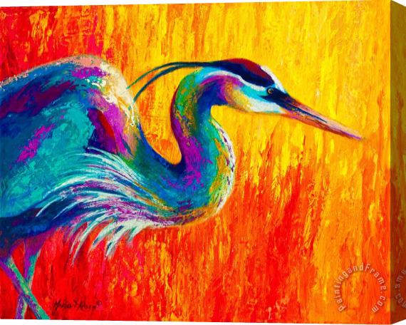 Marion Rose Stalking The Marsh - Great Blue Heron Stretched Canvas Painting / Canvas Art