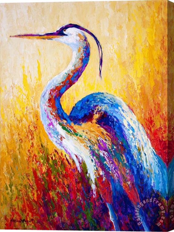 Marion Rose Steady Gaze - Great Blue Heron Stretched Canvas Print / Canvas Art