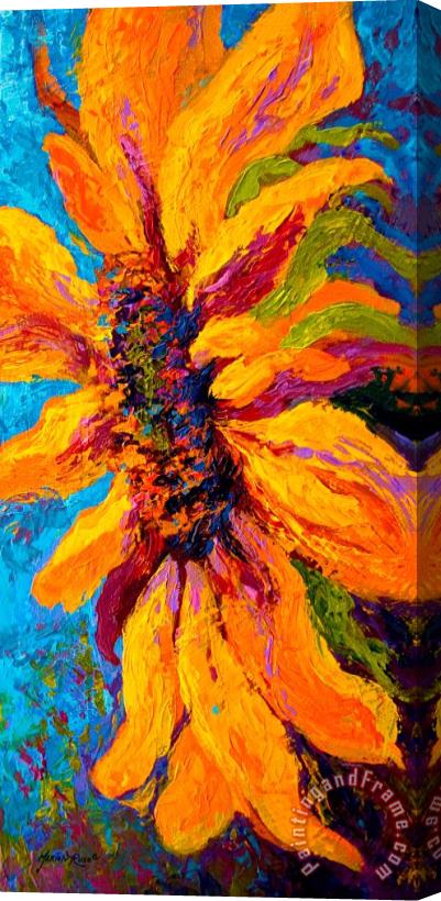 Marion Rose Sunflower Solo II Stretched Canvas Print / Canvas Art