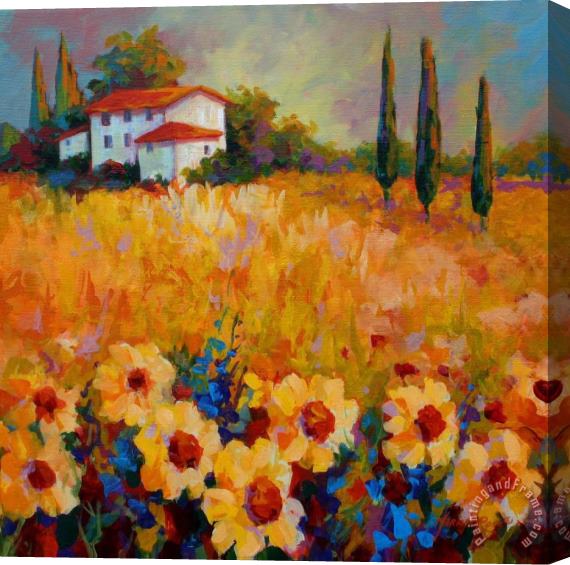 Marion Rose Tuscany Sunflowers Stretched Canvas Painting / Canvas Art