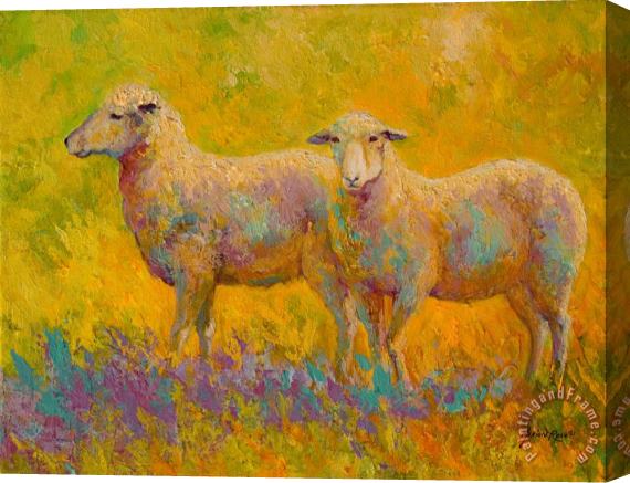 Marion Rose Warm Glow - Sheep Pair Stretched Canvas Print / Canvas Art