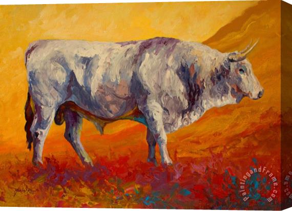 Marion Rose White Bull Stretched Canvas Painting / Canvas Art