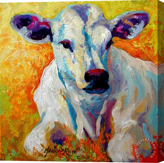 Marion Rose White Calf Stretched Canvas Painting / Canvas Art