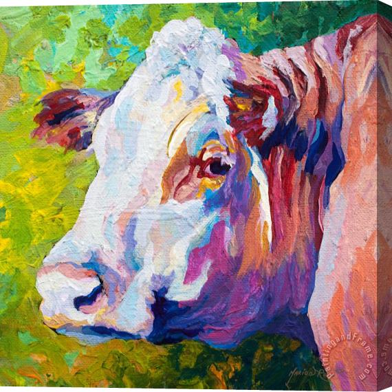 Marion Rose White Face Cow Stretched Canvas Painting / Canvas Art